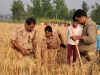Pilibhit Crime News: लापता किशोर का गेहूं के खेत में मिला शव, मचा हड़कंप...