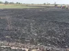 फतेहपुर:  प्रचंड आग से जल गई दो किसानो की 6 बीघे गेहूं की फसल