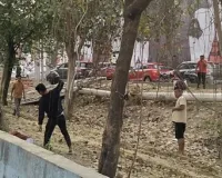 दबंग युवकों ने अहमामऊ पुलिस चौकी पीछे जमकर मचा उत्पात