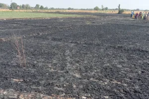 फतेहपुर:  प्रचंड आग से जल गई दो किसानो की 6 बीघे गेहूं की फसल
