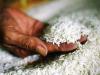 अल्मोड़ा: सुपरमार्केट में सप्लाई होने वाले चावल की जांच की जा रही है