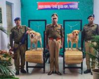 रेलवे सुरक्षा बल बैरक बनारस : डॉग कैनाल में ट्रेडमिल की स्थापना, Live देखिए कुत्तों को कैसे किया जाता है प्रशिक्षित 