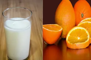 Health Tips: दूध के साथ इन फूड्स का सेवन बना देगा आपको बीमार, सेहत के लिए जहर हो सकती हैं ये चीजें